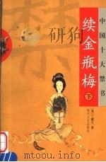 中国十大禁书 续金瓶梅 下 PDF电子版封面 (清)丁耀亢著