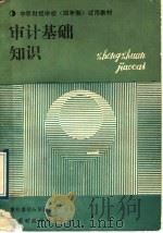 审计基础知识   1989  PDF电子版封面  7500505426  审计基础知识编写组编著 