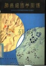 肺癌细胞学图谱 1980 PDF电子版封面 14091·69 吉林医科大学肿瘤医院细胞学室编著