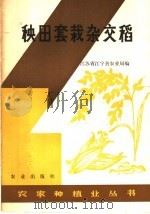 秧田套栽杂交稻 1983 PDF电子版封面 16144·2804 江苏省江宁县农业局编