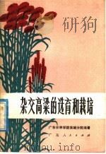 杂交高梁的选育和栽培 1974 PDF电子版封面 16111·202 广东农林学院翁城分院编著