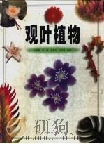 观叶植物（1999 PDF版）