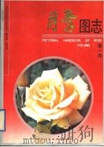 月季图志 第1卷 1991 PDF电子版封面 7537506612 陈世诚,张玉会编