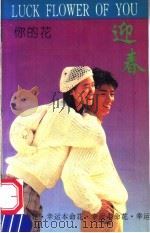 你的花 迎春 1993 PDF电子版封面 7536426542 蕊影编著