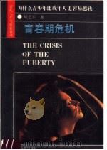 青春期危机 1989 PDF电子版封面 7506900963 皮艺军,赵奕著