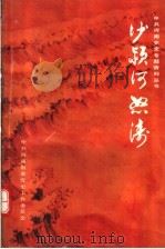 沙颍河怒涛 1990 PDF电子版封面 7215012447 应时雨,张志功主编;刘西森副主编