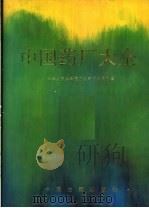 中国药厂大全   1993  PDF电子版封面  7800134210  中华人民共和国卫生部药政局主编 