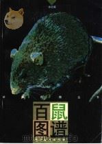 百鼠图谱 1996 PDF电子版封面 753621409X 吴晓丁等绘;本社编