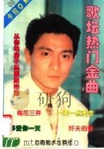 九四歌坛热门金曲 1994 PDF电子版封面 7805860629 王玲选编