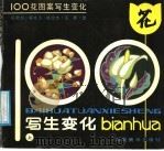 100花图案写生变化  上   1991  PDF电子版封面  753560434X  杨乾钊等绘 