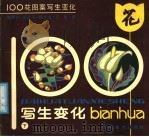 100花图案写生变化  下（1991 PDF版）