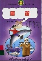 魔笛 1999 PDF电子版封面 711004663X 王金海著