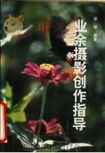 业余摄影创作指导   1994  PDF电子版封面  7536427735  蔡林编著 