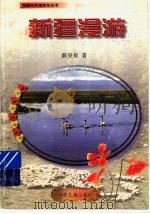 新疆漫游（1993 PDF版）