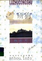 热石头   1996  PDF电子版封面  7537615756  肖复兴主编；张抗抗著 