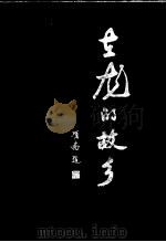 在龙的故乡  闽西首强·西安村发展纪实   1997  PDF电子版封面  7800029239  张永和著 
