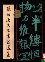 张伯英先生书法选辑 1991 PDF电子版封面 7540204087 张伯英书;徐州博物馆主编