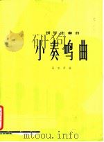 钢琴独奏曲 小奏鸣曲 1981 PDF电子版封面 8026·3771 王立平曲