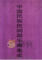 中国民族民间器乐曲集成 新疆卷 上 1996 PDF电子版封面 7507601102 《中国民族民间器乐曲集成》全国编辑委员会,《中国民族民间器乐