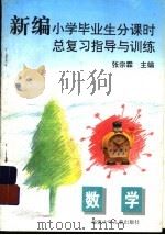 新编小学毕业生分课时总复习指导与训练 数学 1995 PDF电子版封面 753951177X 张宗霖主编