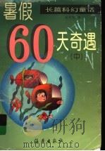 暑假60天奇遇 中 1999 PDF电子版封面 7535019102 袁学军著