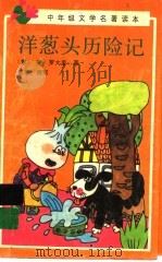 洋葱头历险记 1989 PDF电子版封面 7500707738 (意)罗大里著;曾琅改写