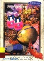 海洋真奇妙  水族精灵   1998  PDF电子版封面  7536519648  高显刚编著 