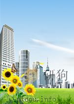 国立台湾大学校史稿  1928-2004     PDF电子版封面    丁亮等撰述 