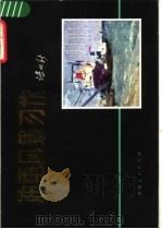 油画风景习作 1979 PDF电子版封面 8094·655 谌北新绘