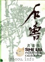 石鲁书画集  中英对照   1990  PDF电子版封面  710200849X  石鲁绘 