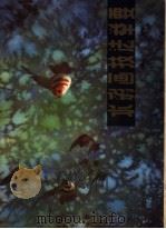 水彩画技法举要 1983 PDF电子版封面 8233·414 朱辉著
