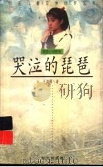 哭泣的琵琶   1996  PDF电子版封面  7533225872  王延辉著 