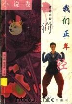 我们正年轻 1998 PDF电子版封面 7543618532 孙云晓,徐莉萍主编