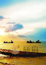 最重创新一画神 林风眠诞辰百年纪念论文集 P230 PDF电子版封面