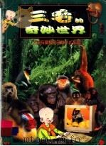 人手与猿猴爪子有什么不同 1999 PDF电子版封面 7532439356 倪基民编