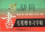 毛笔楷书习字帖 第1册 基本笔画练习 1990 PDF电子版封面 7532905888 李岩选编写