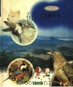 飞翔的鸟 1998 PDF电子版封面 7533229347 赵克艳编