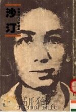 中国现代作家选集 沙汀 1984 PDF电子版封面 9620402561 张大明编