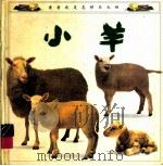 看看我是怎样长大的  小羊（1995 PDF版）