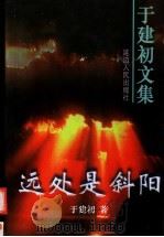 远处是斜阳  十集电视连续剧文学剧本   1998  PDF电子版封面  7805998272  于建初著 