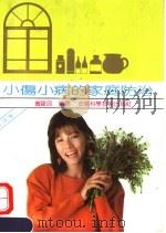 小伤小病的家庭防治 第2版 1992 PDF电子版封面 7533707826 黄建民编著