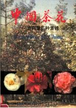 中国茶花 古树暨品种集锦 中英文对照 1995 PDF电子版封面 7505202596 庞金虎等著;云南省林业科学院编