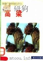 高梁 1999 PDF电子版封面 7806097821 彭星辉编