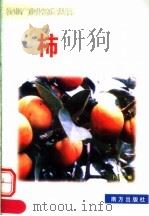 柿 1999 PDF电子版封面 7806097813 卜范文编