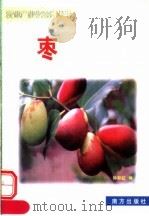 枣 1999 PDF电子版封面 7806097813 钟彩虹编