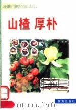 山楂  厚朴（1999 PDF版）