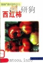 西红柿 1999 PDF电子版封面 7806097570 刘鹏编