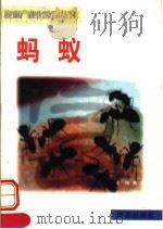 蚂蚁 1999 PDF电子版封面 7806097570 金福编