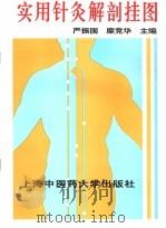 实用针灸解剖挂图 1991 PDF电子版封面 7810101471 严振国主编