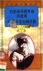 中华魂百篇故事  31  刘伯承早期革命的故事  记革命志士杨开慧   1994  PDF电子版封面  7206022014  张岳琦，郑德荣主编 